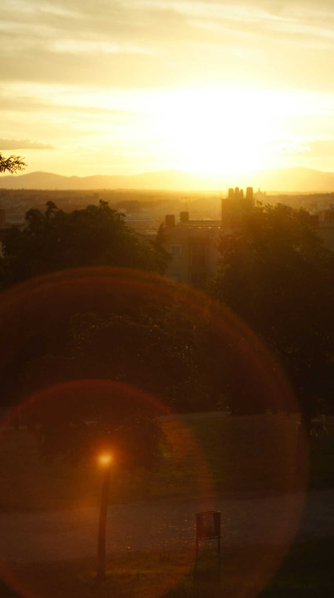 city park at sunset